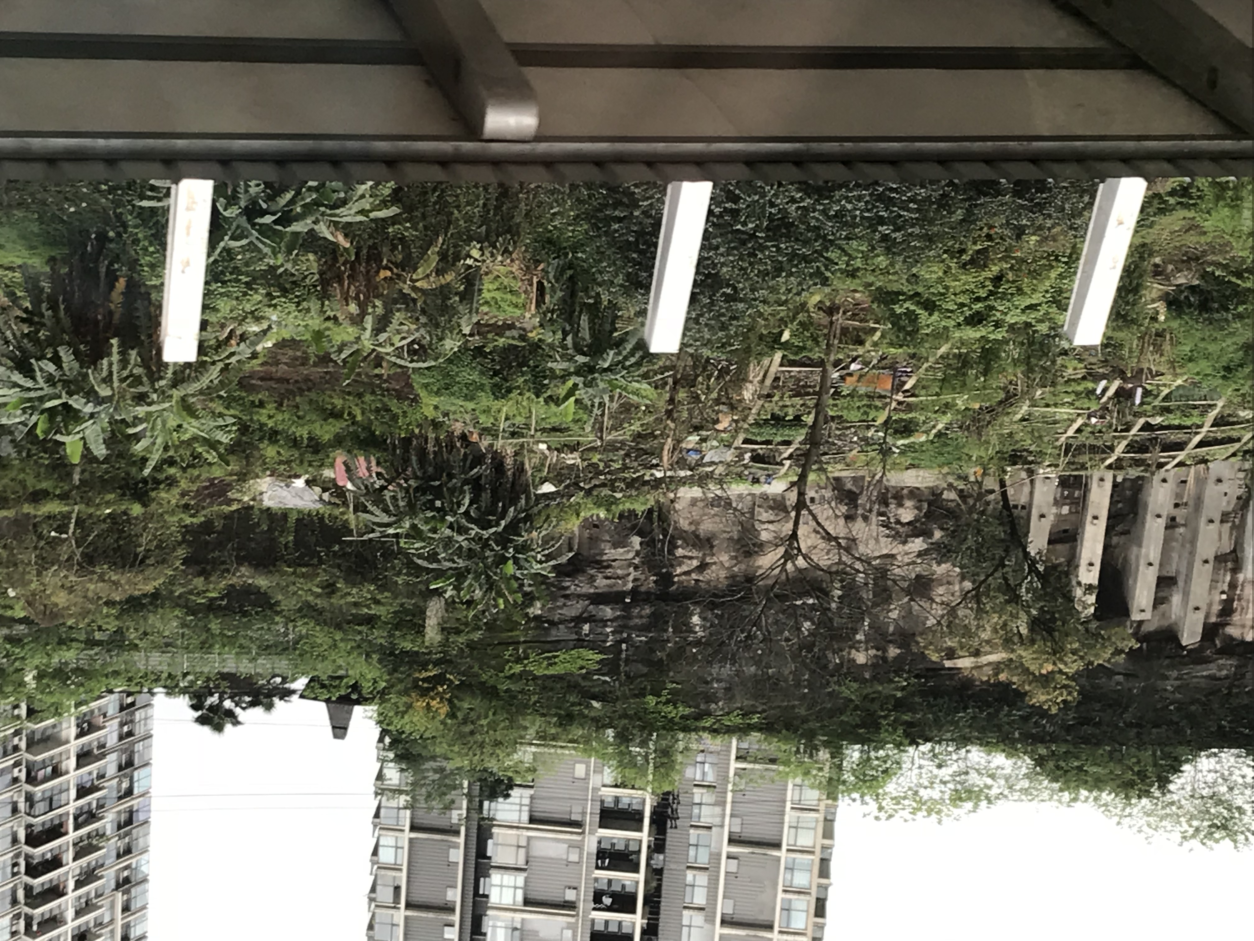 ./2018/03 - Viking China/15 - Chongqing/IMG_6978.JPG